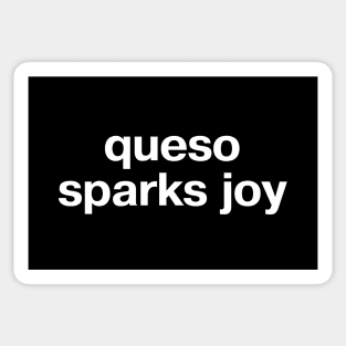 "queso sparks joy" in plain white letters - no one's sad with chips and dip Sticker